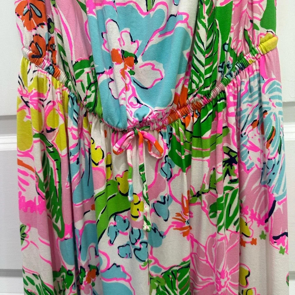Lilly Pulitzer Nosy Posy dress Vibrant Floral Maxi Dress - Pink & Green - Picture 4 of 5